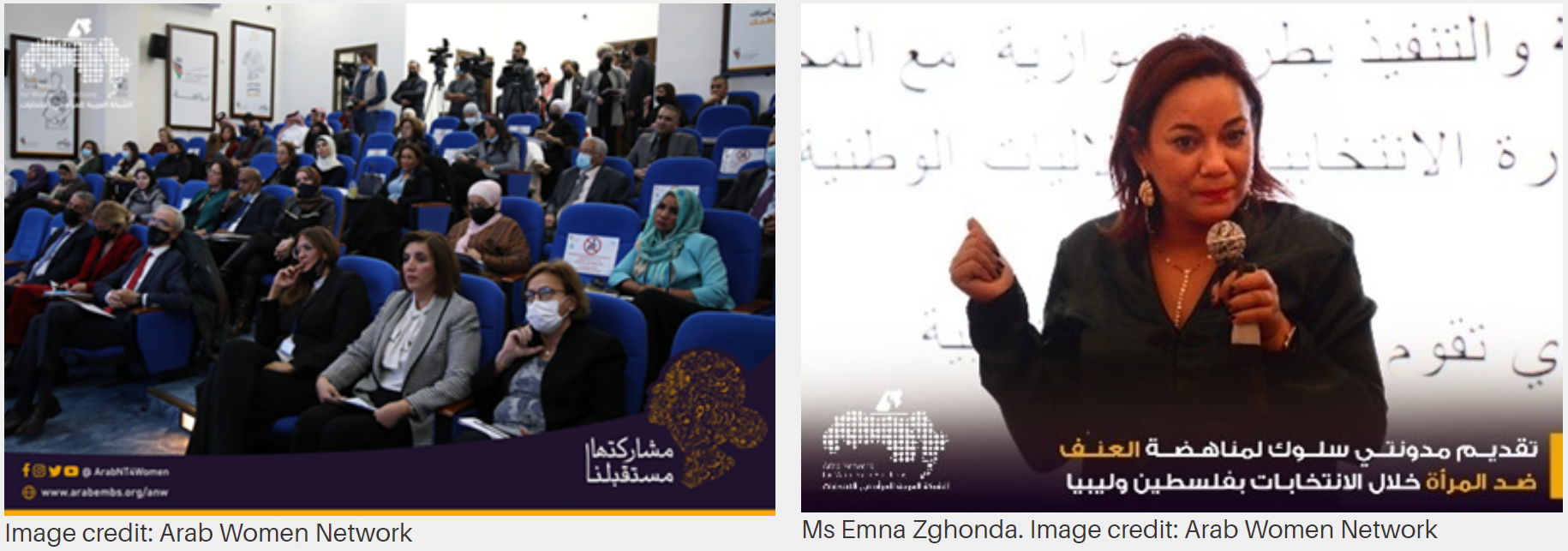 International IDEA International IDEA