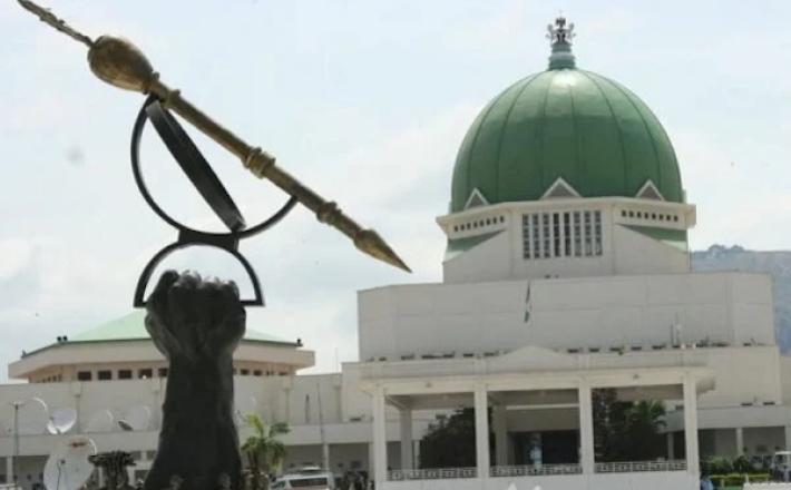 Special Seats Bill in Nigeria: Balancing representation through constitutional reforms - Punch