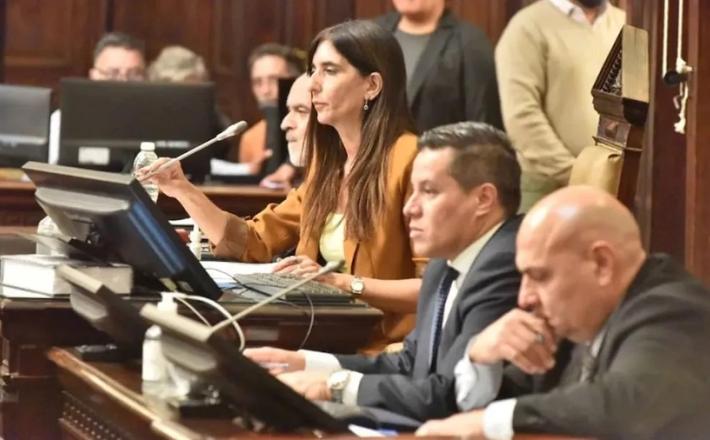 Natacha Eisenchlas en su primera sesión como presidenta provisional del Senado en Mendoza - Diario Uno