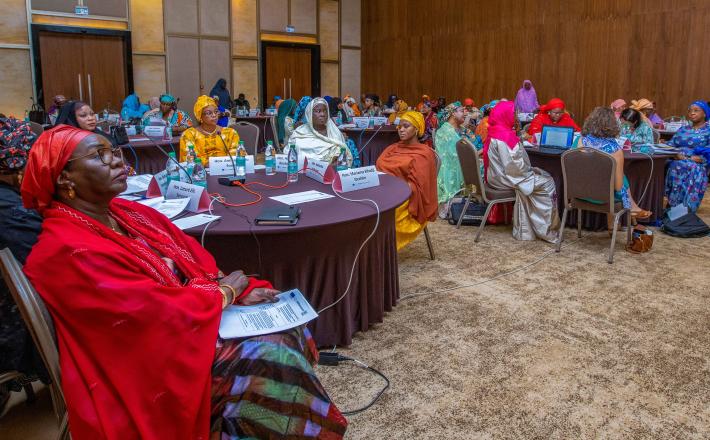 Réseau des Femmes Parlementaires du Niger meeting with women's caucuses and parliamentary gender equality bodies from around the world