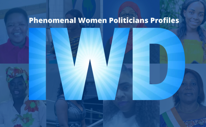 Enhancing Women's Political Participation in Africa- IDEA