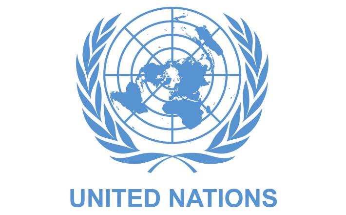 UN scores Nigeria low on women participation in politics (Picture: UN Logo)