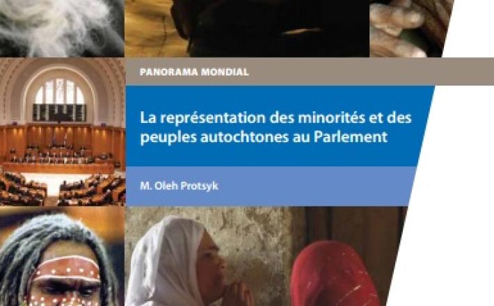 La représentation des minorités et des peuples autochtones au parlement