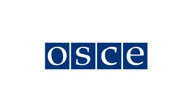 Addressing violence against women in politics in the OSCE region – The launch of new ODIHR toolkit (OSCE Logo)
