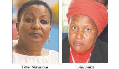 In Namibia, mixed feelings on gender parity progress -  credits: The Namibian
