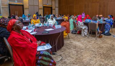 Réseau des Femmes Parlementaires du Niger meeting with women's caucuses and parliamentary gender equality bodies from around the world