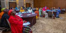 Réseau des Femmes Parlementaires du Niger meeting with women's caucuses and parliamentary gender equality bodies from around the world